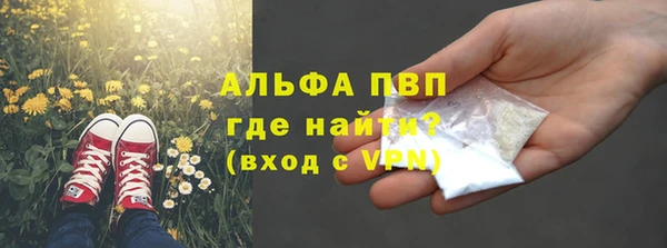 шишки Богданович